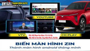 MHU Box Zestech cho VinFast Limo Green